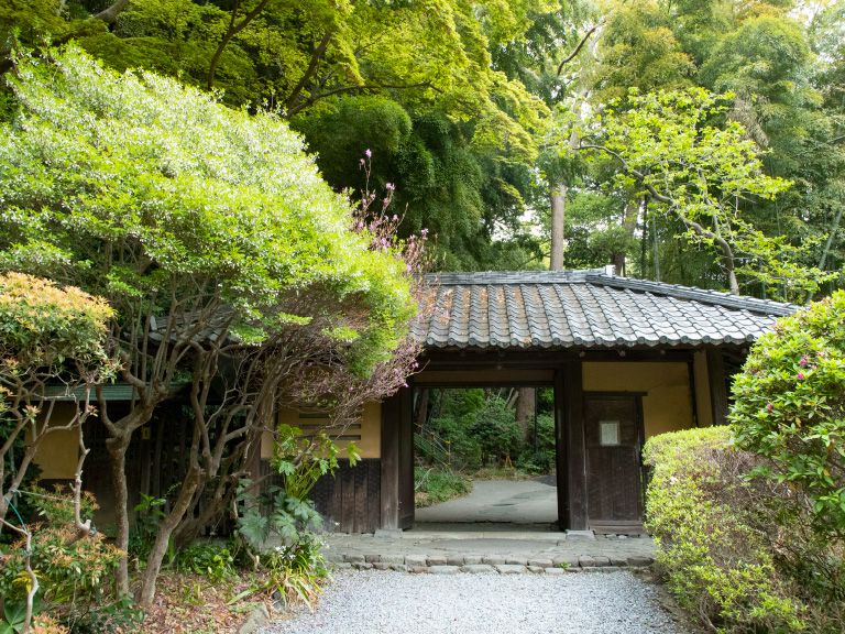 卒業生の皆様へ